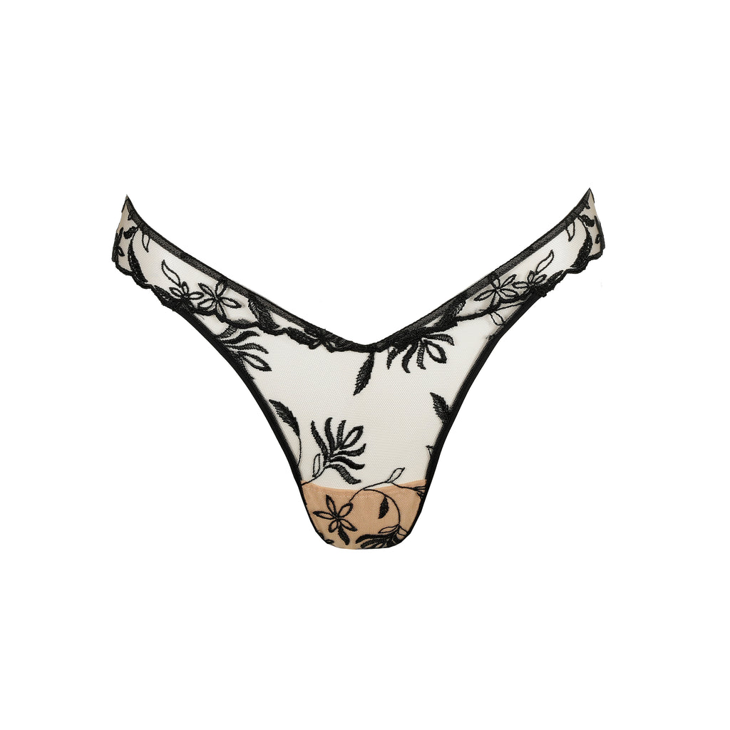 Sarda - String Shay