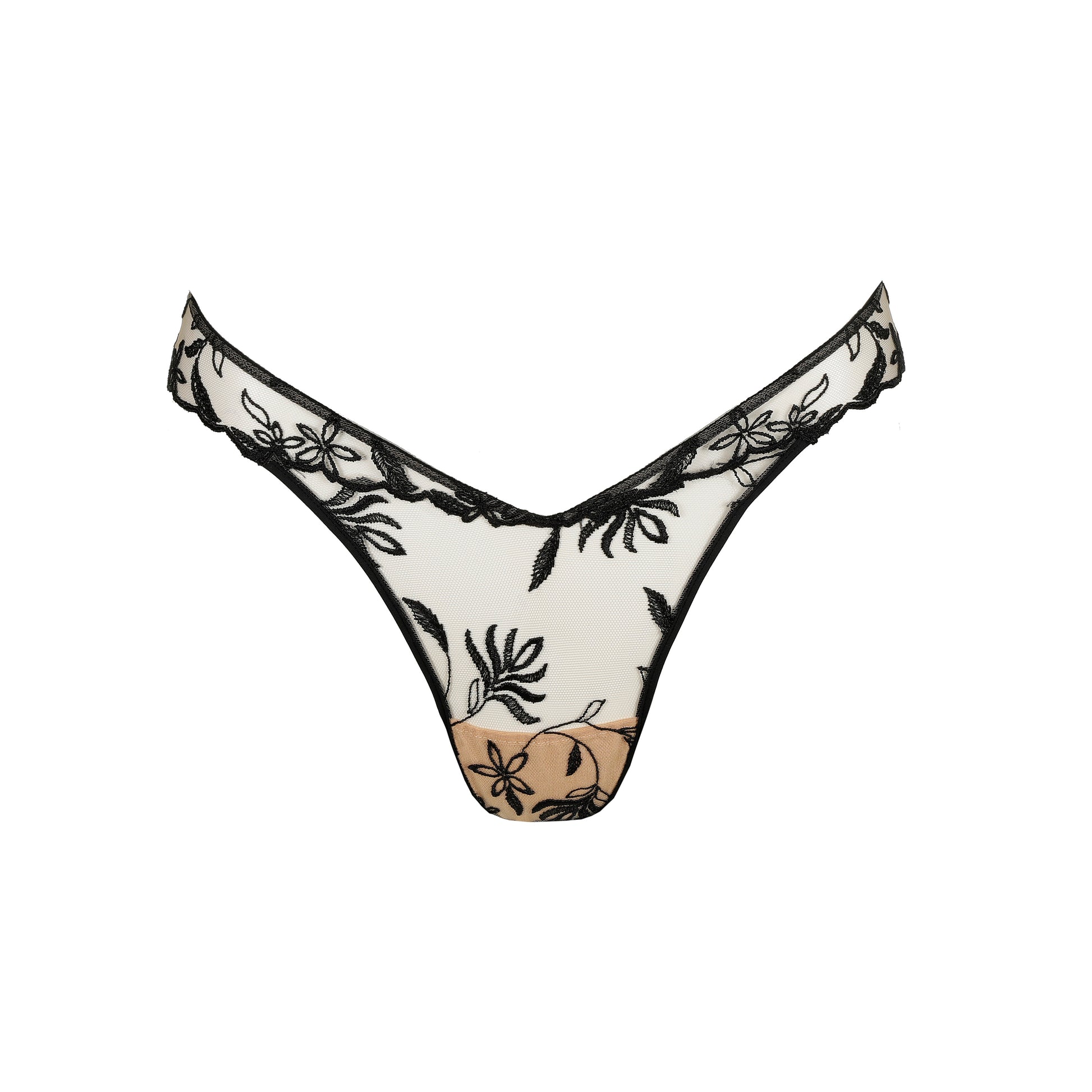 Sarda - String Shay